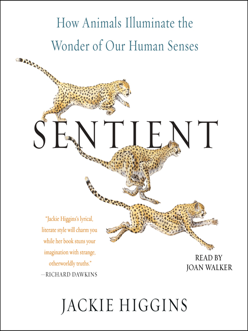 Title details for Sentient by Jackie Higgins - Wait list